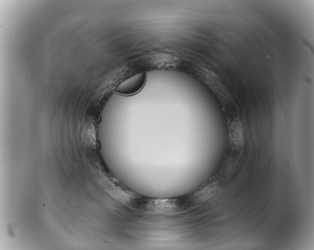 X0000101180622200807071247