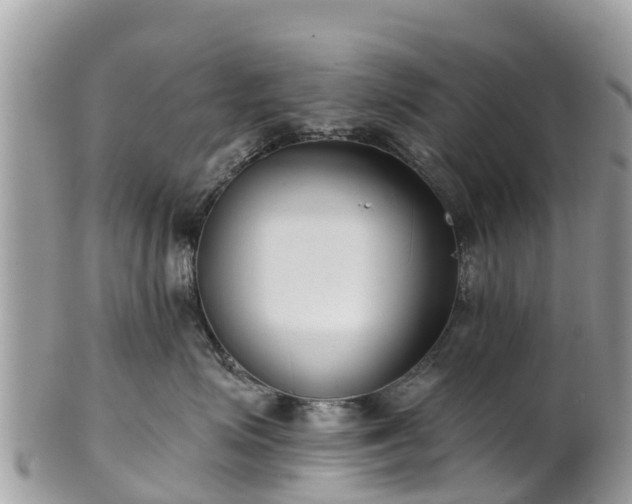 X0000101180623200807071247