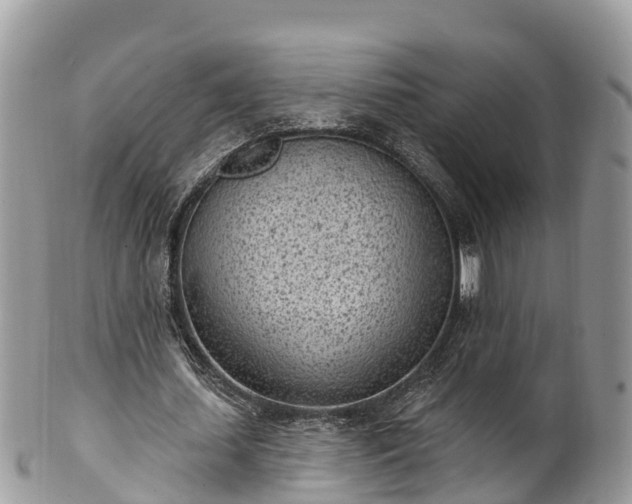 X0000101180627200807071246
