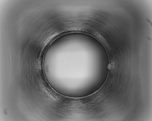 X0000101180628200807071246