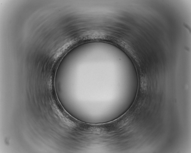 X0000101180629200807071246