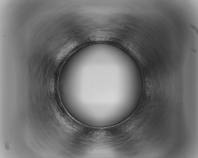X0000101180631200807071246