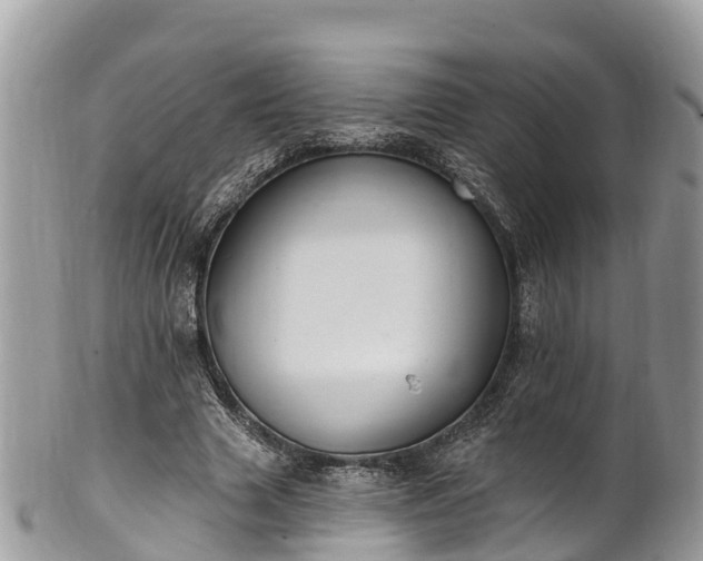 X0000101180633200807071246