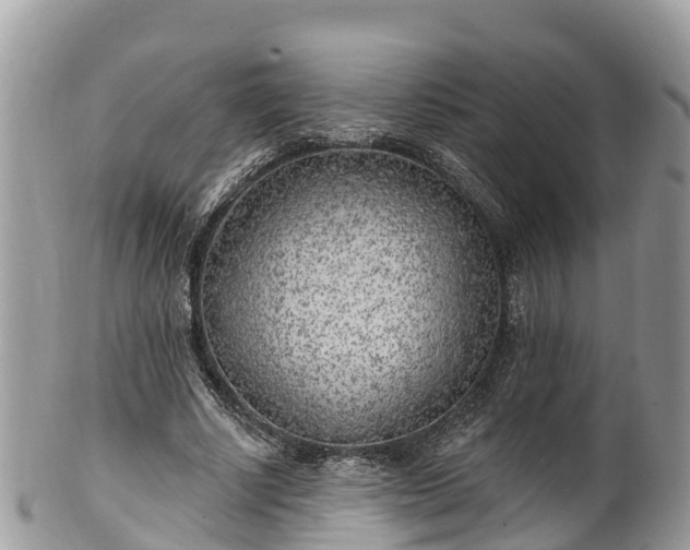 X0000101180634200807071246