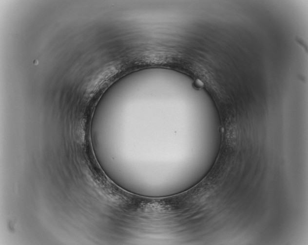 X0000101180635200807071246