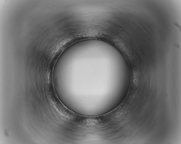 X0000101180636200807071246