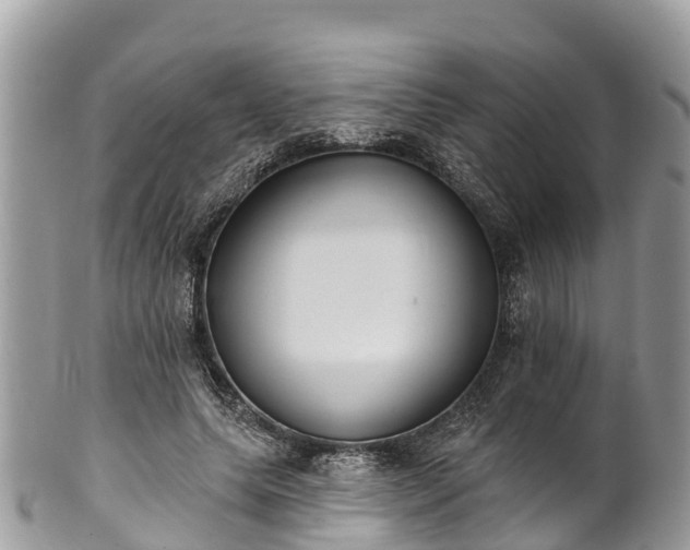 X0000101180639200807071246