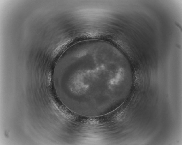 X0000101180640200807071246