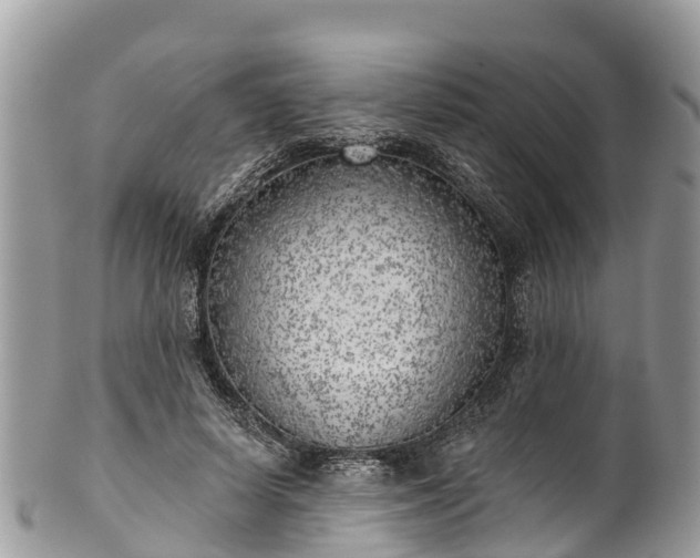 X0000101180642200807071246