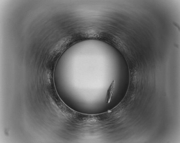X0000101180643200807071246