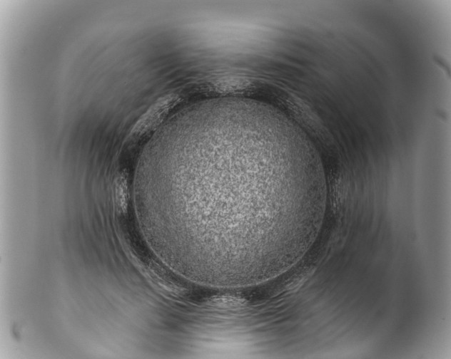 X0000101180644200807071246