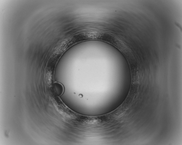 X0000101180646200807071246