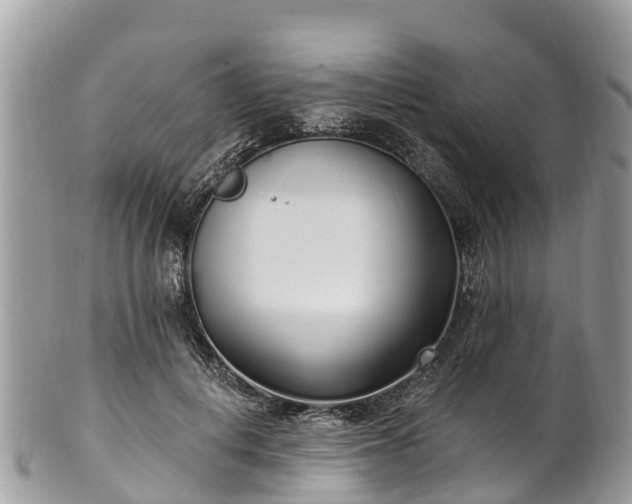 X0000101180648200807071246
