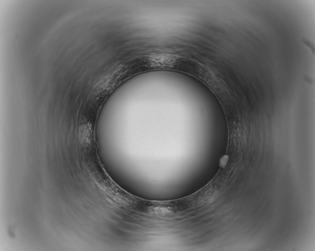 X0000101180649200807071246