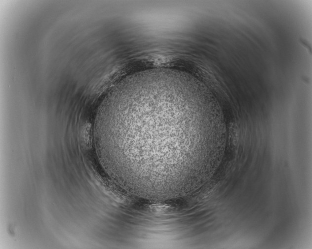 X0000101180650200807071246