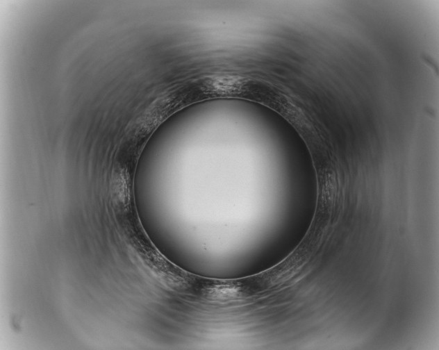 X0000101180651200807071246