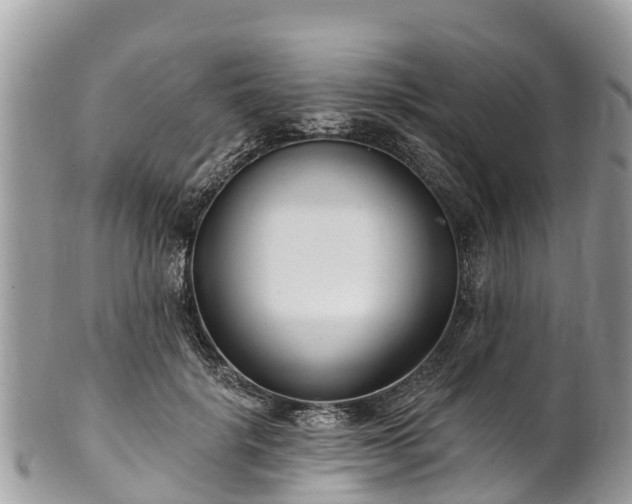 X0000101180652200807071246