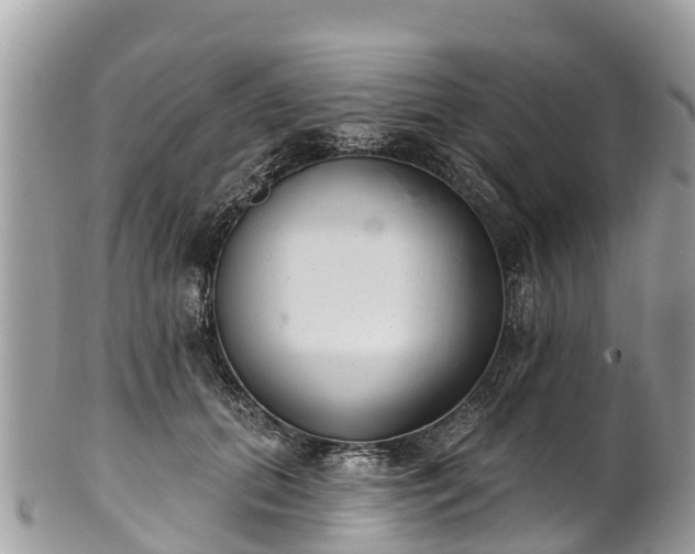 X0000101180655200807071246