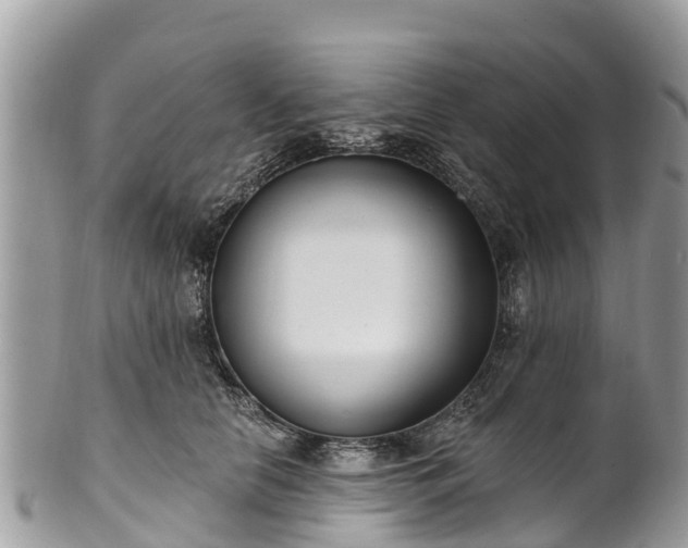 X0000101180658200807071246