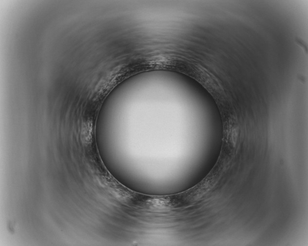 X0000101180660200807071246