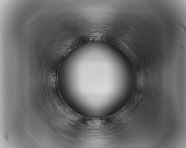 X0000101180661200807071246