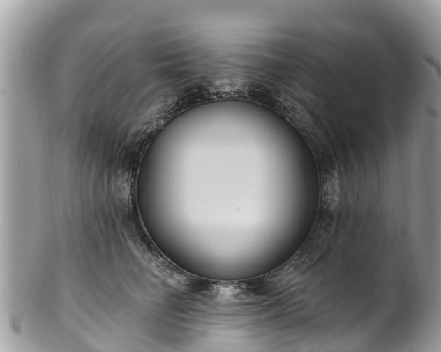 X0000101180662200807071246