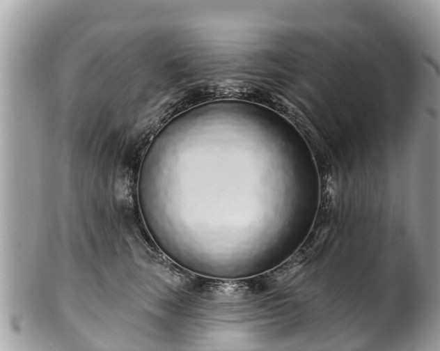 X0000101180663200807071247