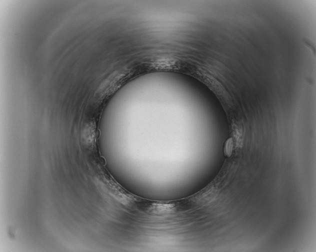 X0000101180665200807071247