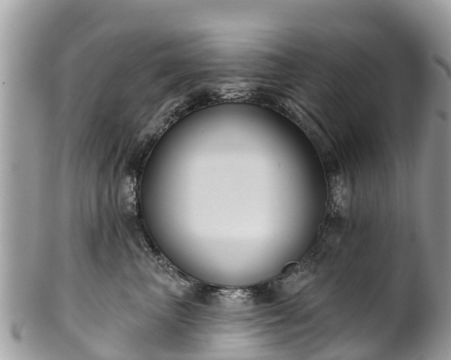 X0000101180667200807071247