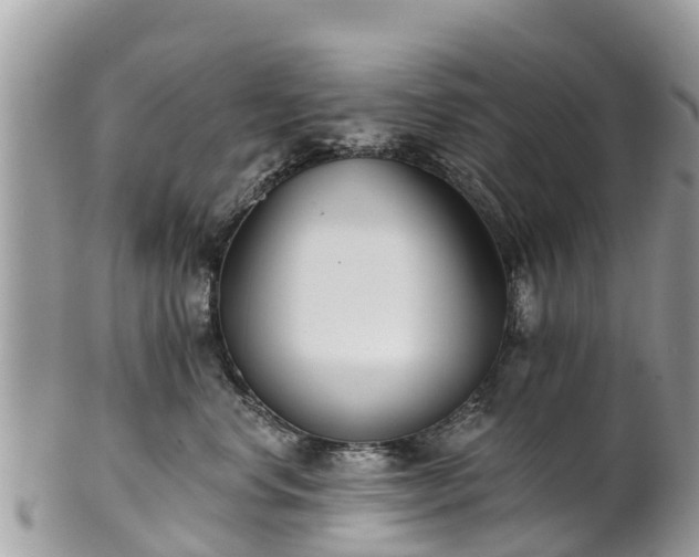 X0000101180668200807071247