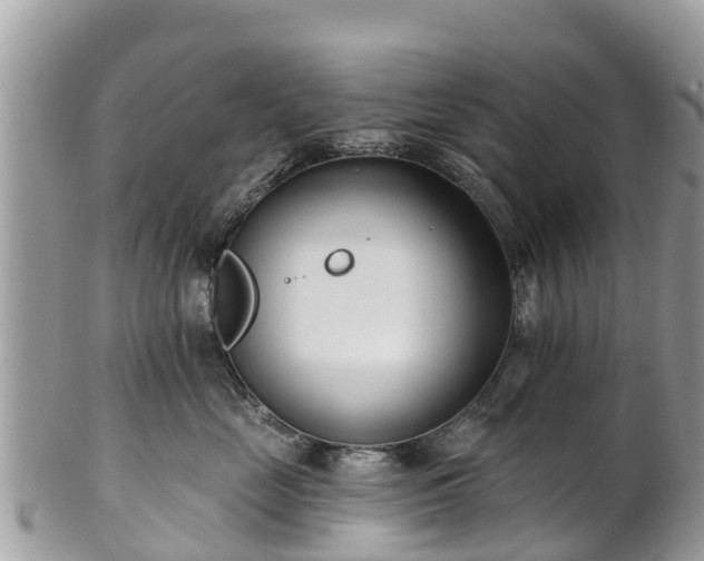 X0000101180669200807071247