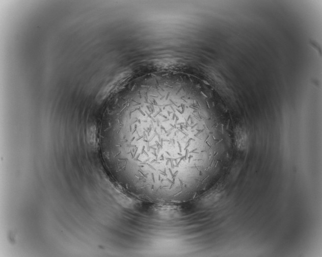 X0000101180670200807071247