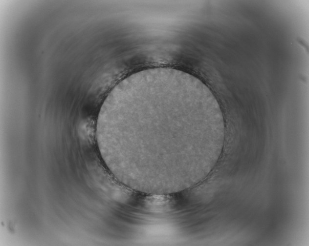 X0000101180672200807071247