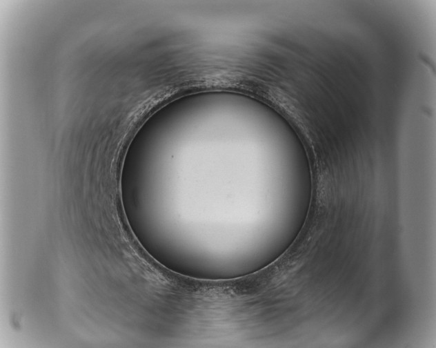 X0000101180673200807071246