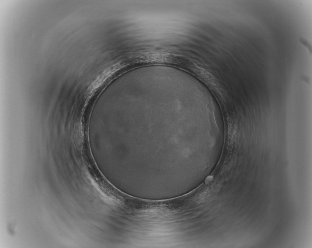 X0000101180674200807071246