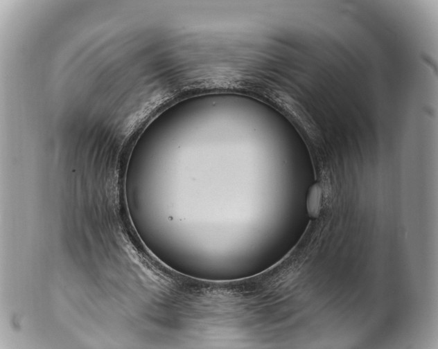 X0000101180677200807071246