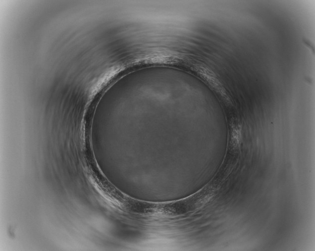 X0000101180678200807071246