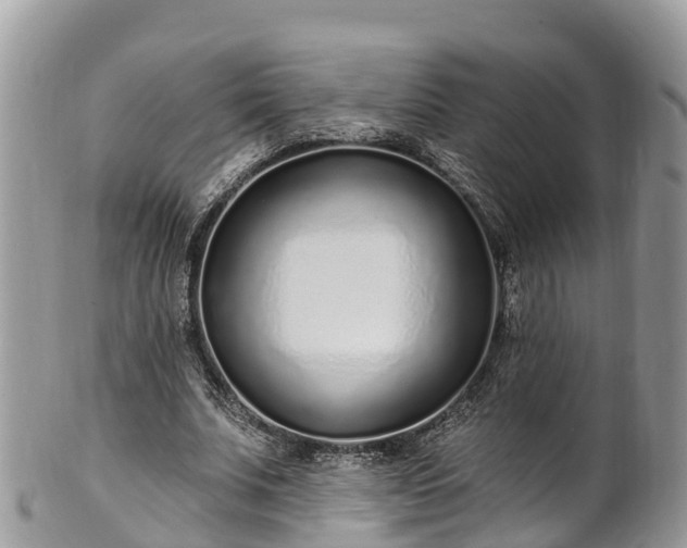 X0000101180679200807071246