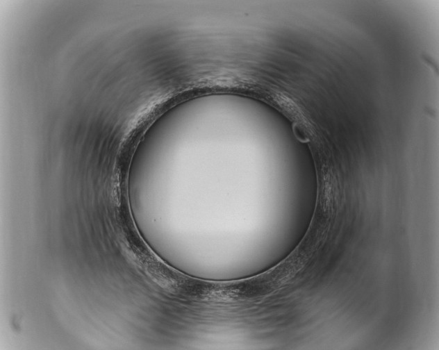X0000101180680200807071246