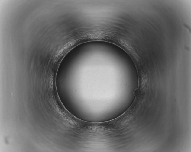 X0000101180681200807071246