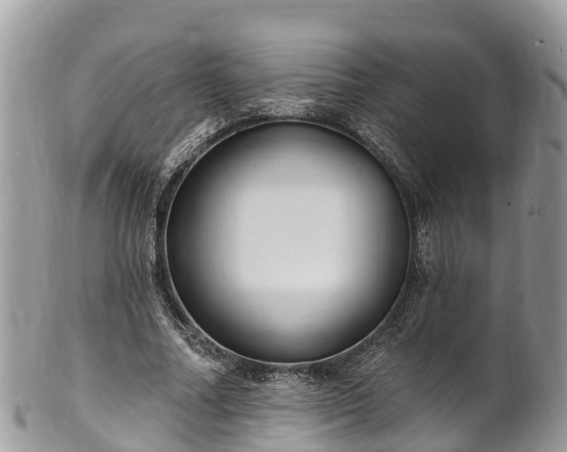 X0000101180682200807071246