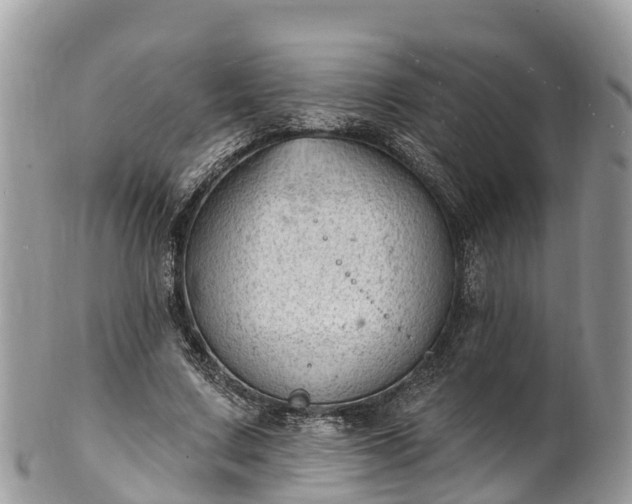 X0000101180683200807071246