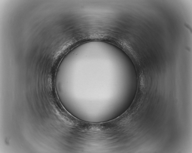 X0000101180684200807071246