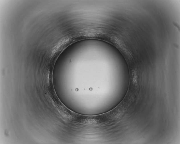 X0000101180685200807071246