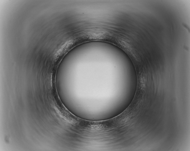 X0000101180686200807071245