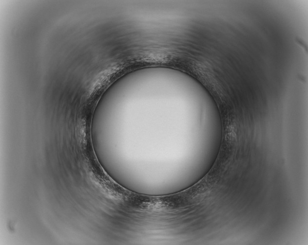 X0000101180688200807071245