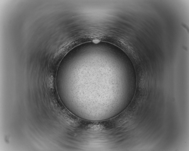X0000101180689200807071245