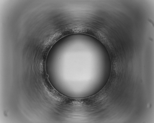 X0000101180690200807071245
