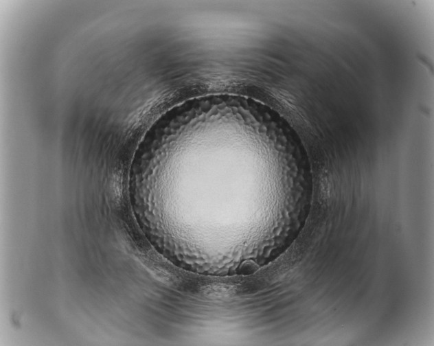 X0000101180691200807071245