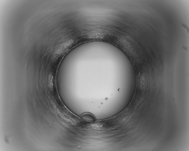 X0000101180692200807071245